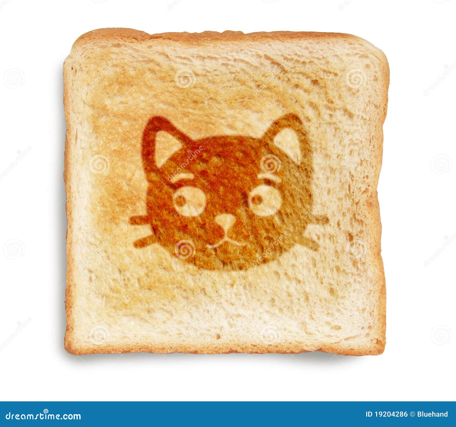 Katze auf Toastbrot stockfoto. Bild von toastbrot, katze 19204286