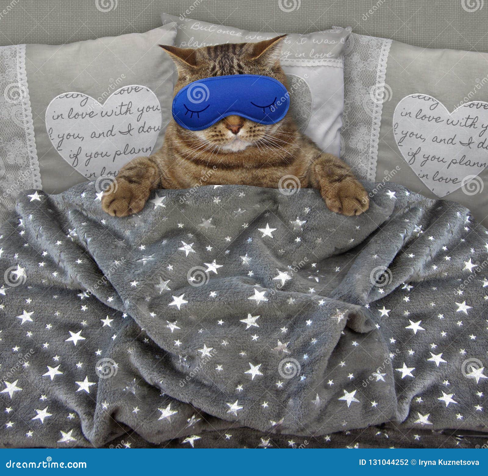 Katze Mit Einer Schlafmaske Im Bett Stockfoto - Bild von blau, wimpern:  131044252