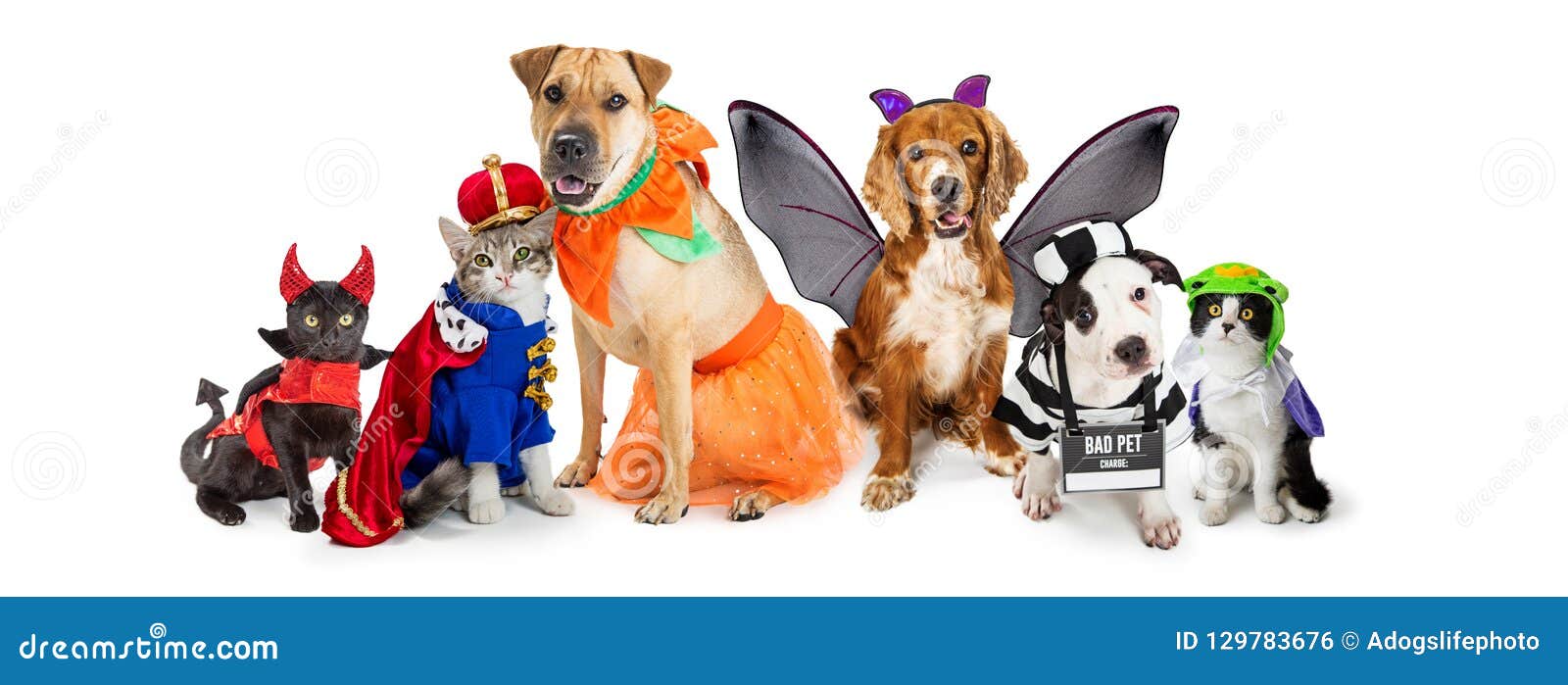 Katzen Und Hunde in Halloween Kostümiert Netz-Fahne Stockfoto