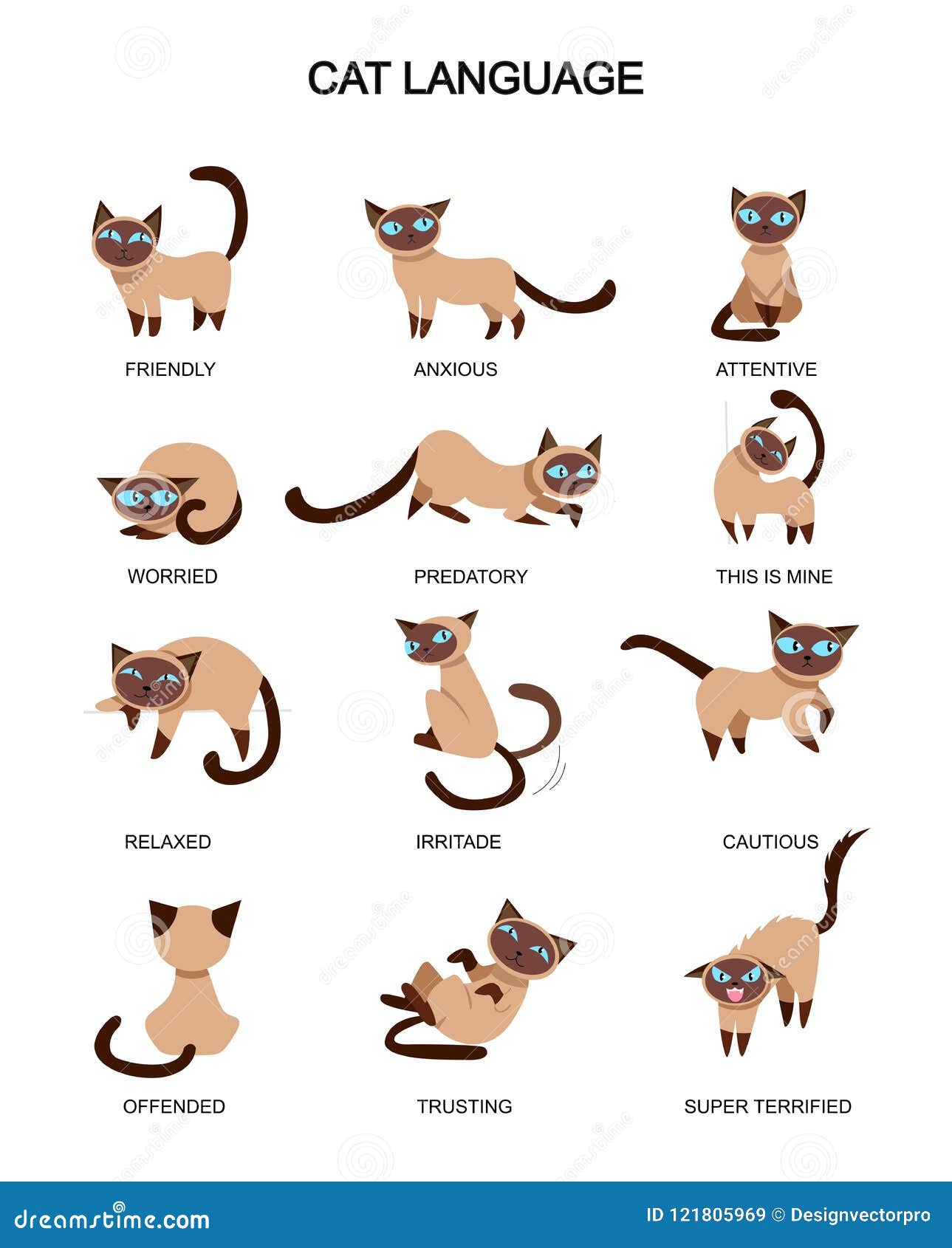 Katzensprache Und Gef hlsbedeutung Nette Katzenausdr cke Lokalisiert katzensprache-und-gef-hlsbedeutung-nette-katzenausdr-cke-lokalisiert