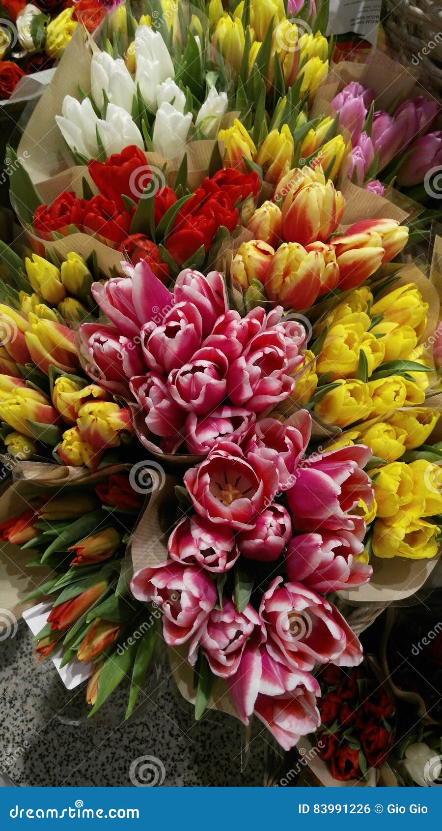 Kaufende Farbige Blumen Fur Freundin Stockfoto Bild Von Blumen Freundin