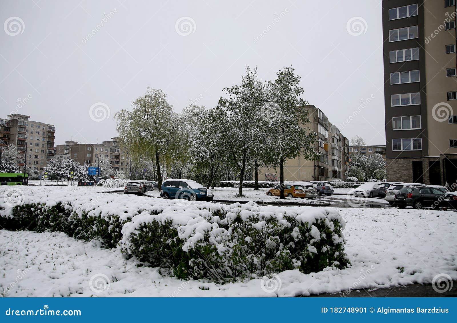kaunas lithuania. snow on may 12 morning in kaunas. object name:weather lithuania 2020-05-12