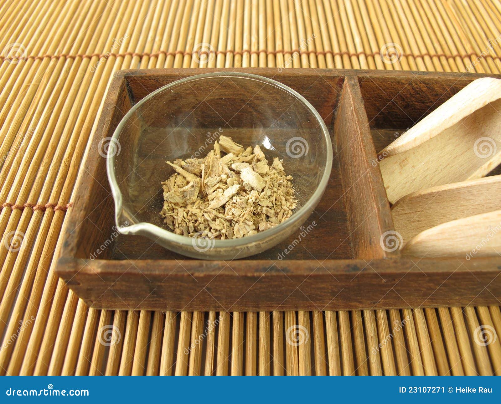 Kava Root, KavaKava Rhizoma Stock Image Image of drugs, piper 23107271