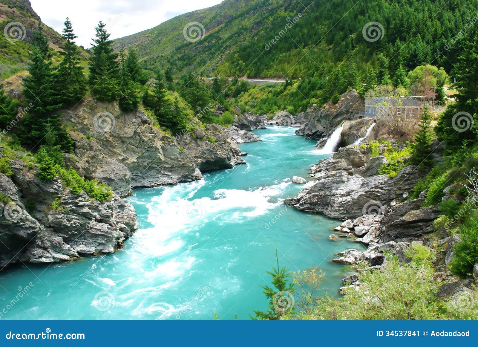 Kawarau river and forest stock image. Image of river - 34537841