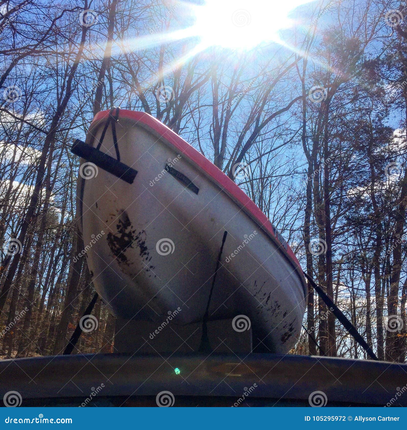 Kayak stock photo. Image of plant, tree, sunlight, sunny 105295972