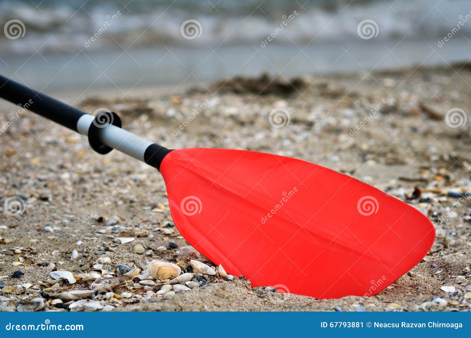 Kayak Paddle stock image. Image of beach, kayak, nature 67793881
