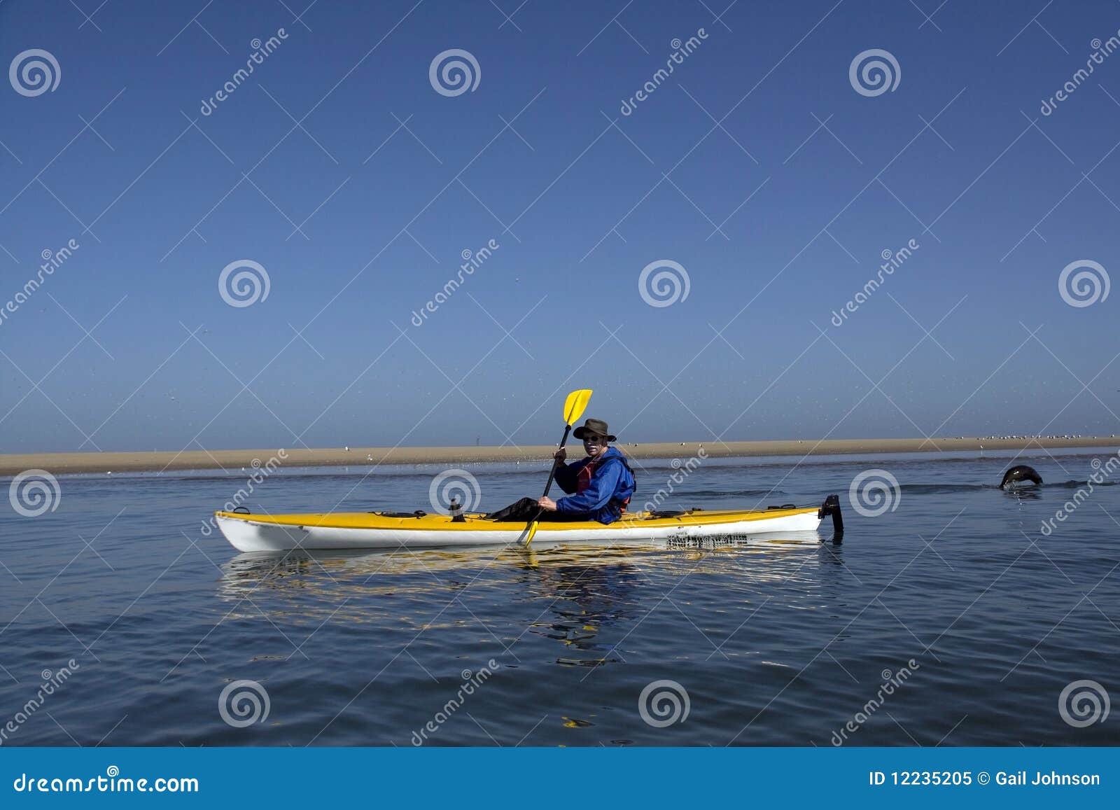 Kayaking Around Pelican Point Stock Image Image of cape, namibia
