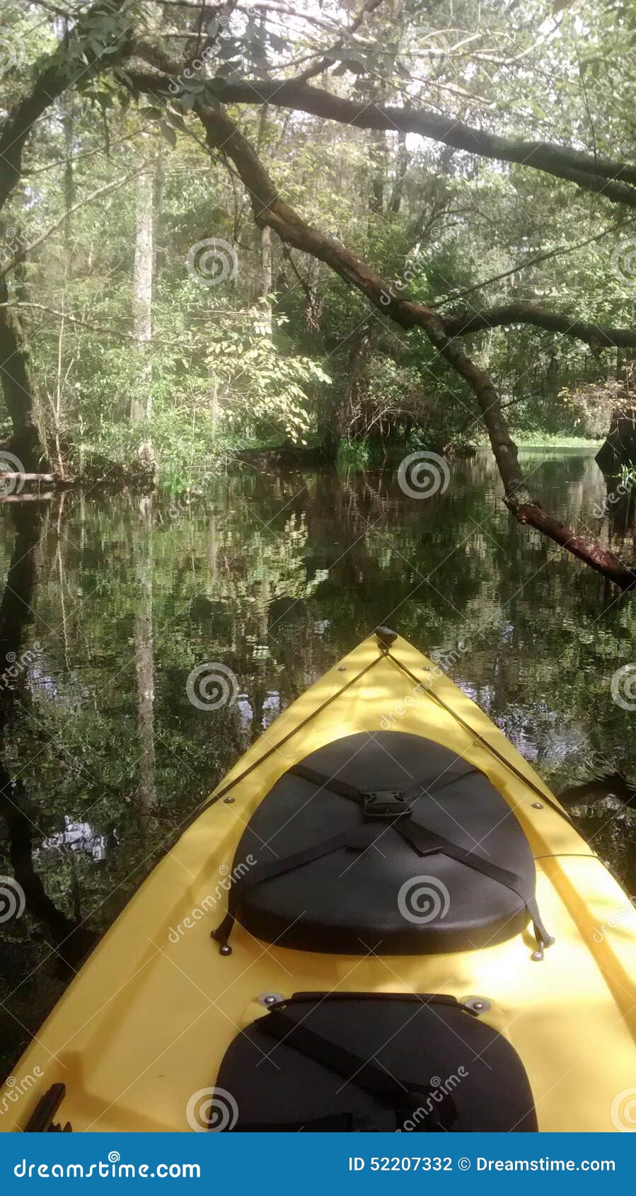 Kayaking the Hillsborough stock photo. Image of swamp 52207332