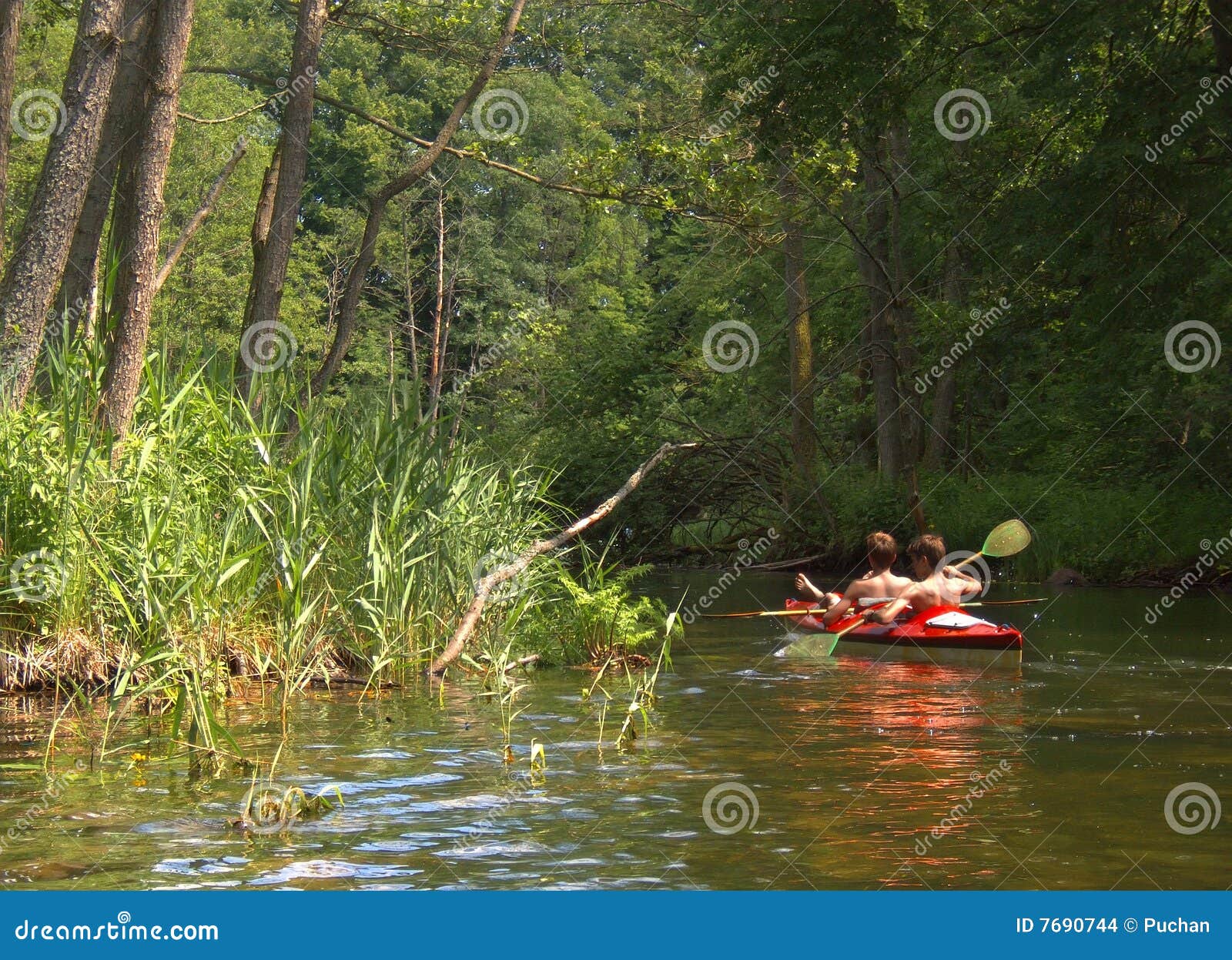 Kayaks on the river stock photo. Image of river, paddle - 7690744