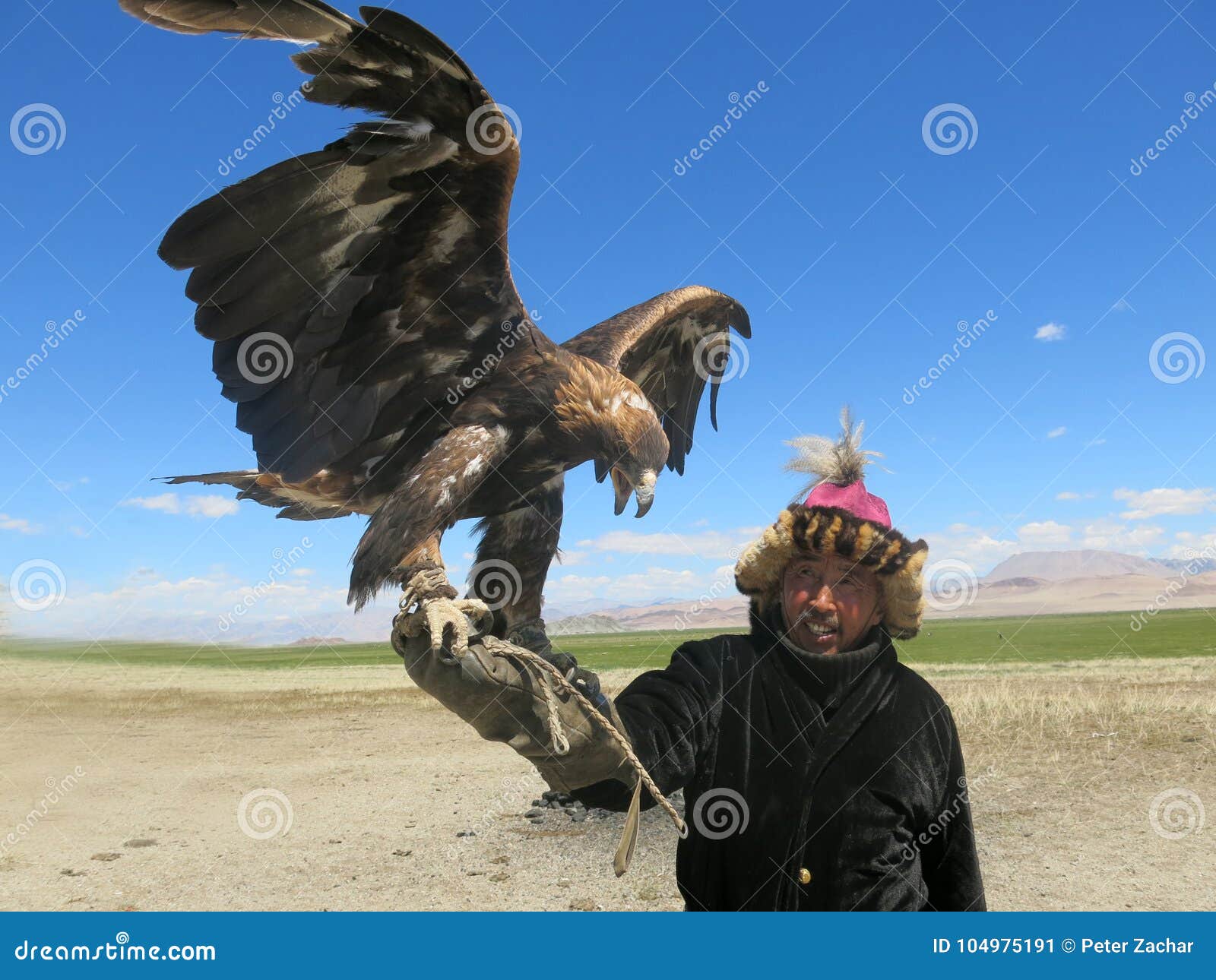 Kazakh eagle hunter stock image. Image of mongolia, eaglehunter 104975191
