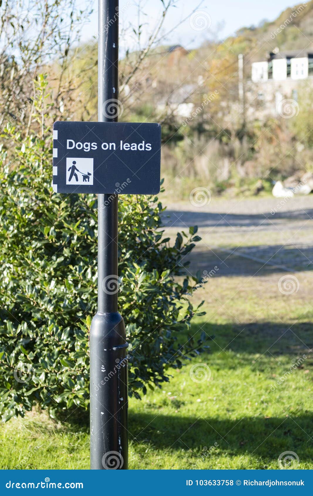 Keep Dogs on Leads Sign Post in Park Countryside Stock Photo Image of