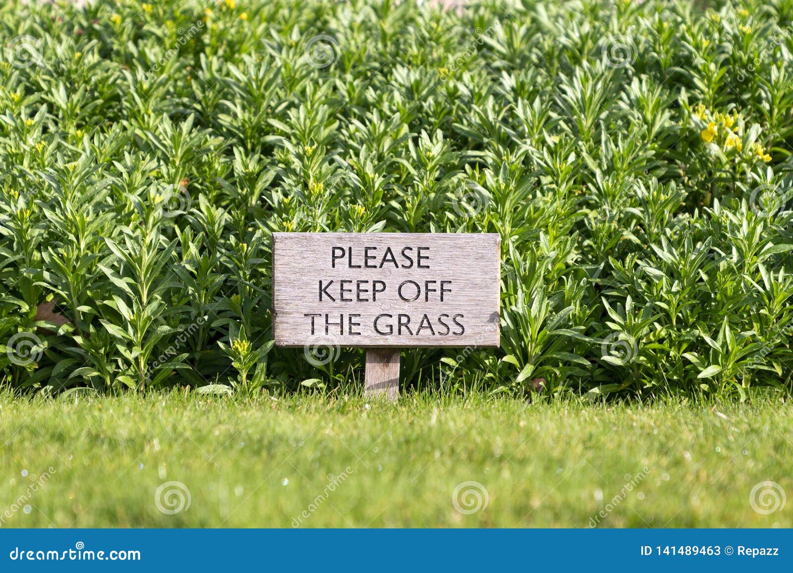 Keep Of The Grass Sign Stock Image Image Of Garden 141489463