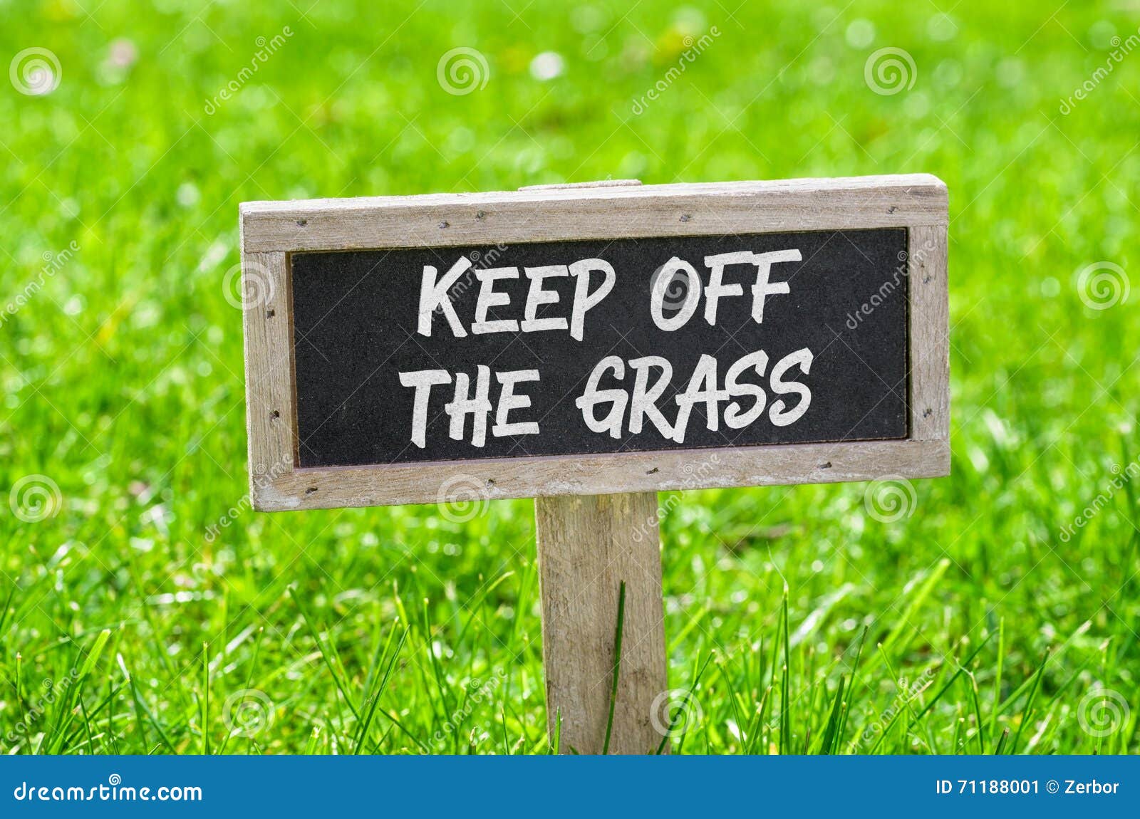 Keep off the grass stock image. Image of restriction - 71188001