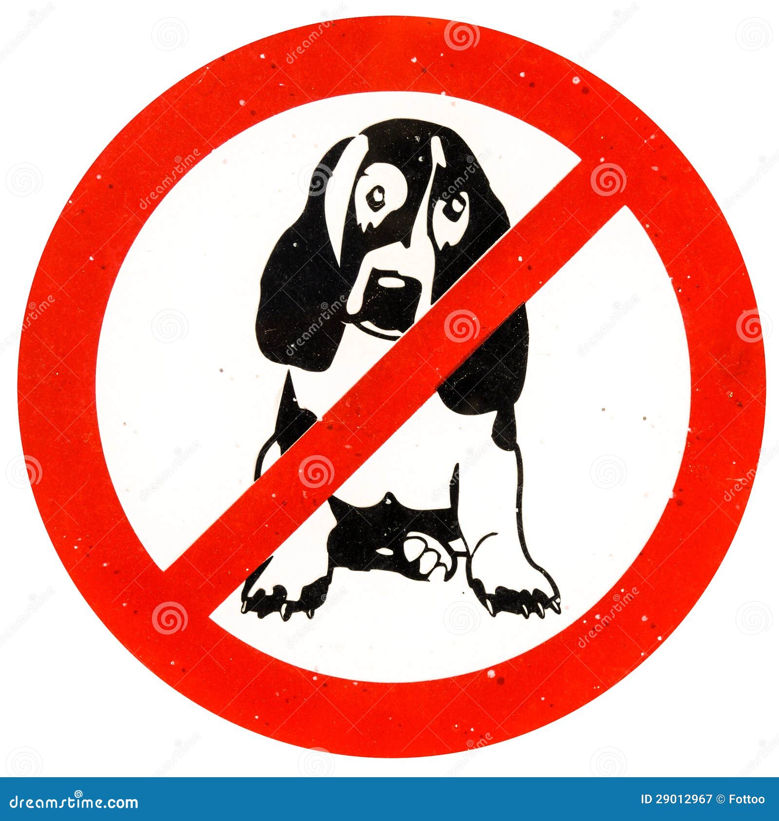 Keine Hunde erlaubt stockbild. Bild von zeitgenössisch 29012967