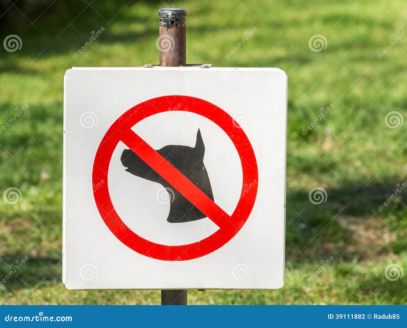 Keine Hunde Erlaubt Auf Gras Stockfoto Bild von begriff, verboten