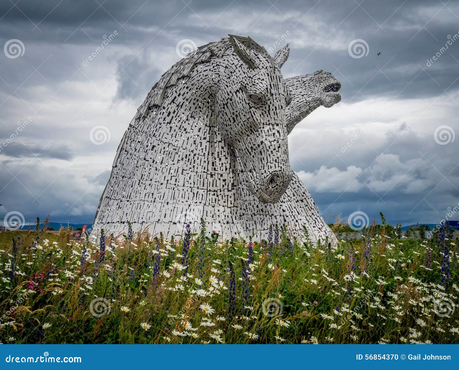 Kelpies Editorial Image | CartoonDealer.com #55638408