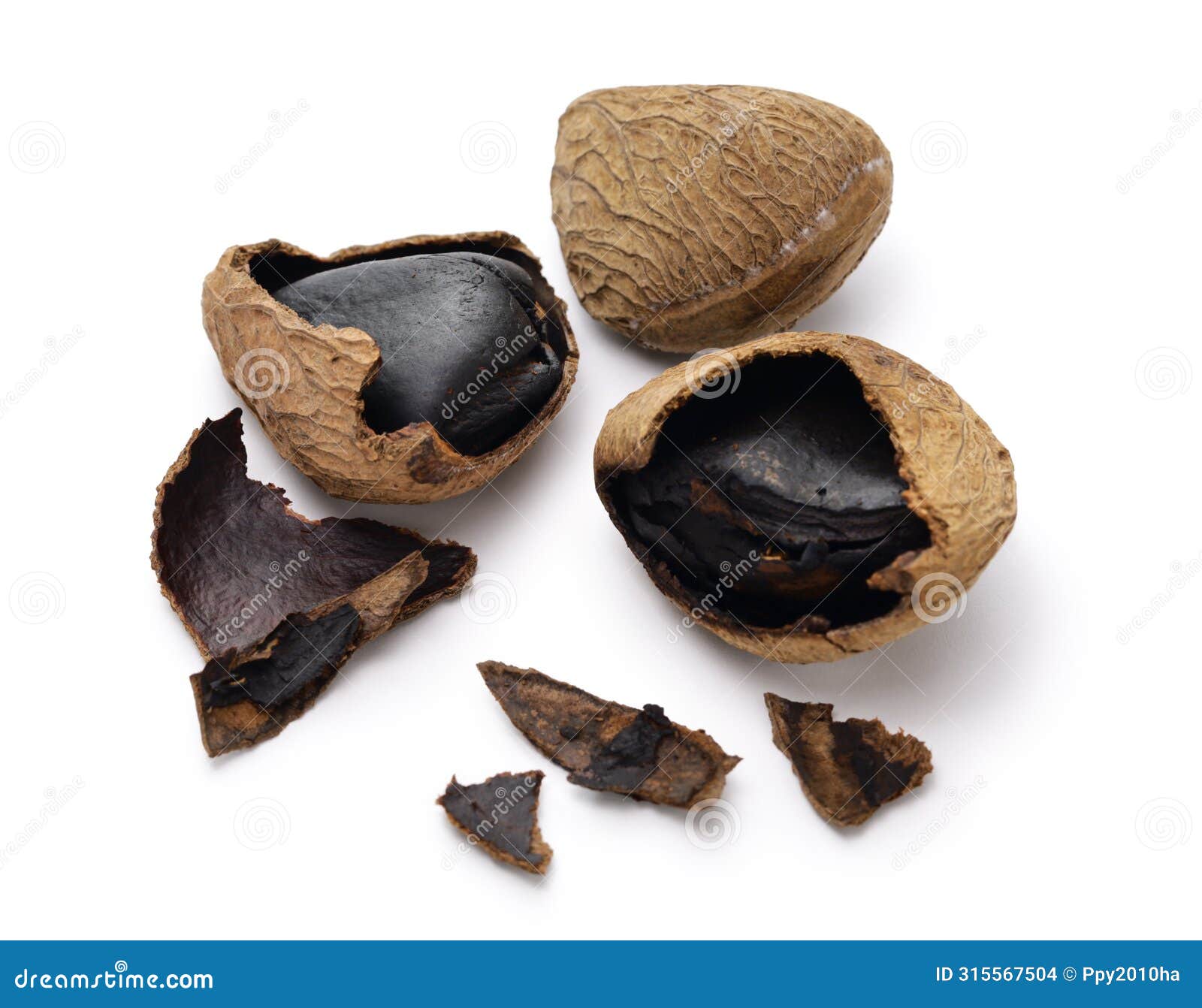 keluak ( pangium seed), used as spice in indonesian cooking, edible by fermentation.