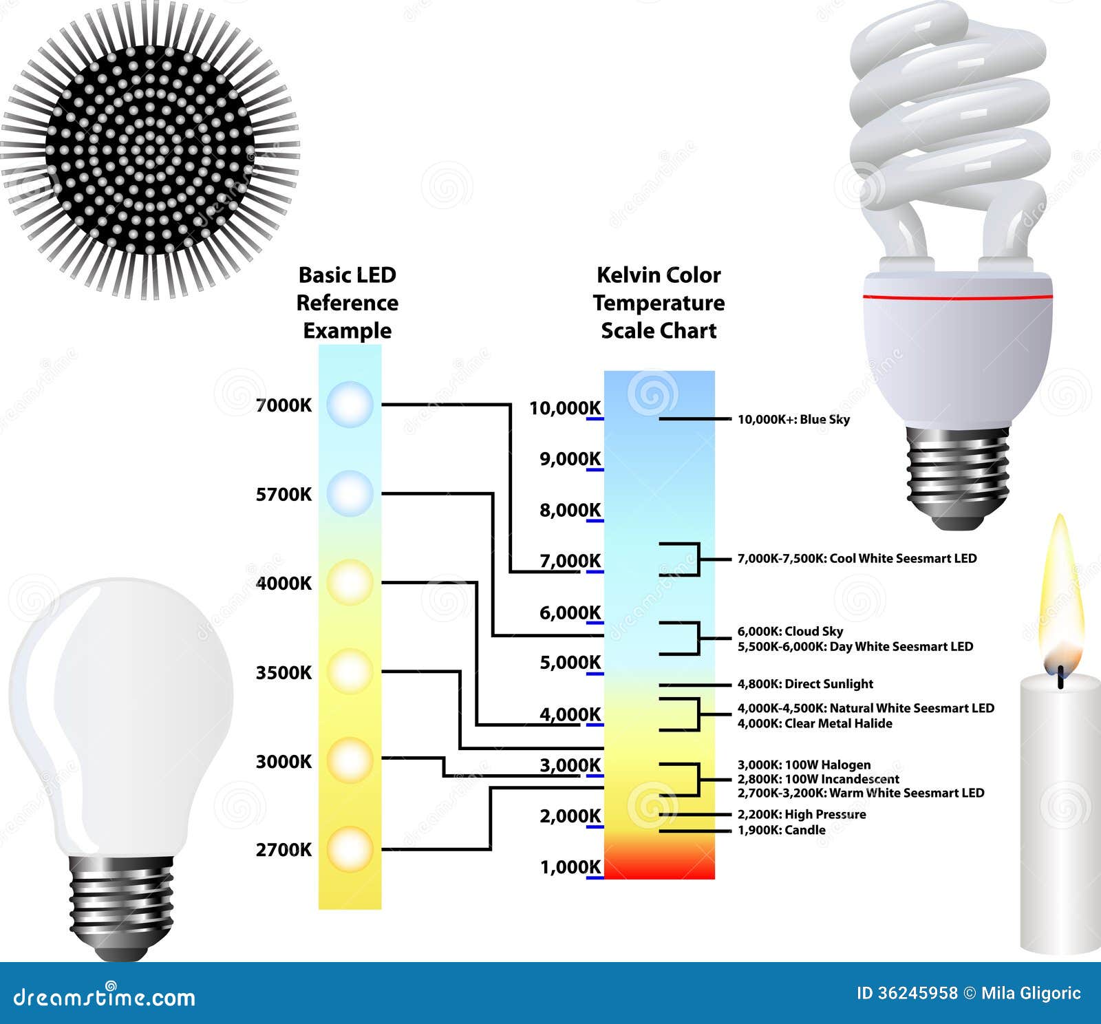 Fluorescent Light Temperature Chart