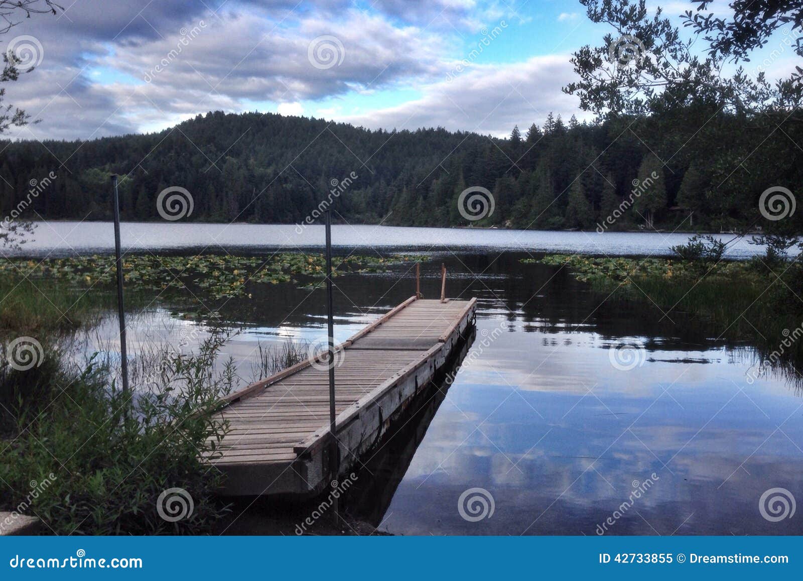 Kemp Lake at Dusk stock image. Image of kemp, sooke, water 42733855