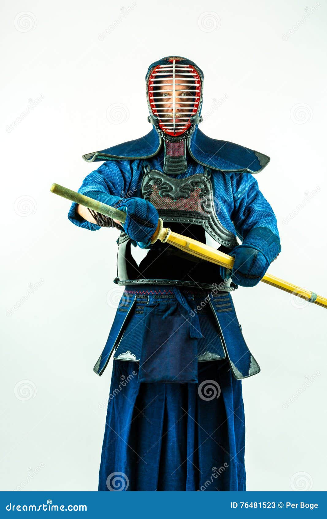 Software - Kendo Warrior