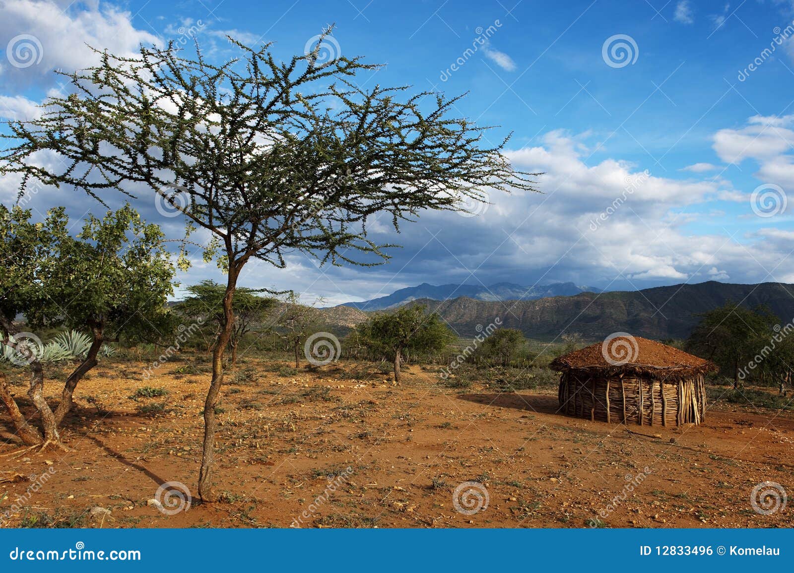 Traditionele hutten van de mensen Pokot in Kenia.