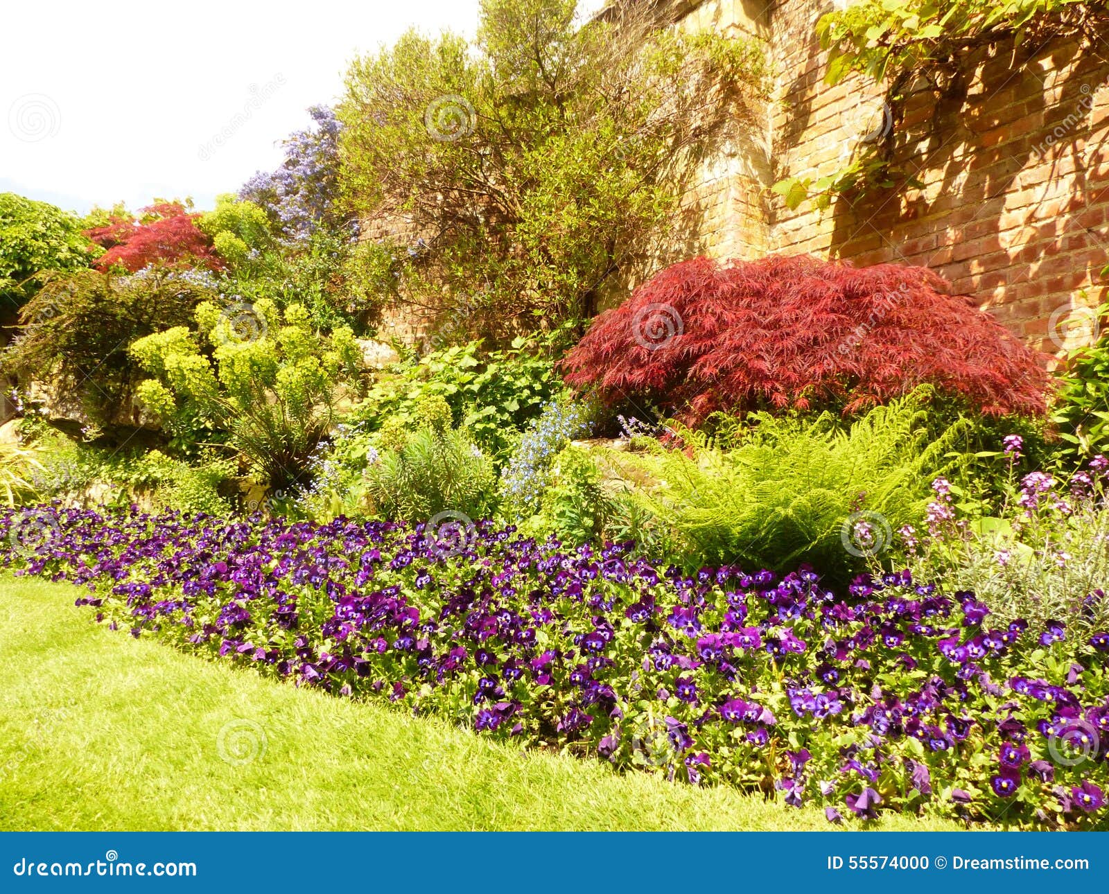 Kent gardens of England editorial image. Image of kent 55574000
