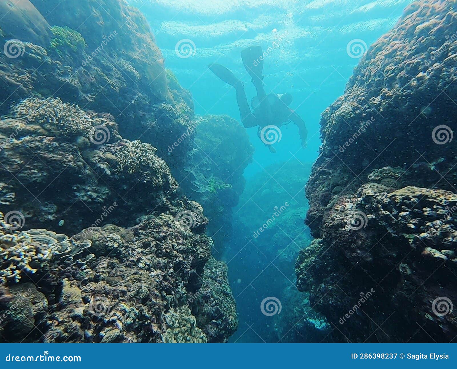 Kenting Scuba Diving Taiwan Stock Image Image of recreation, taiwan