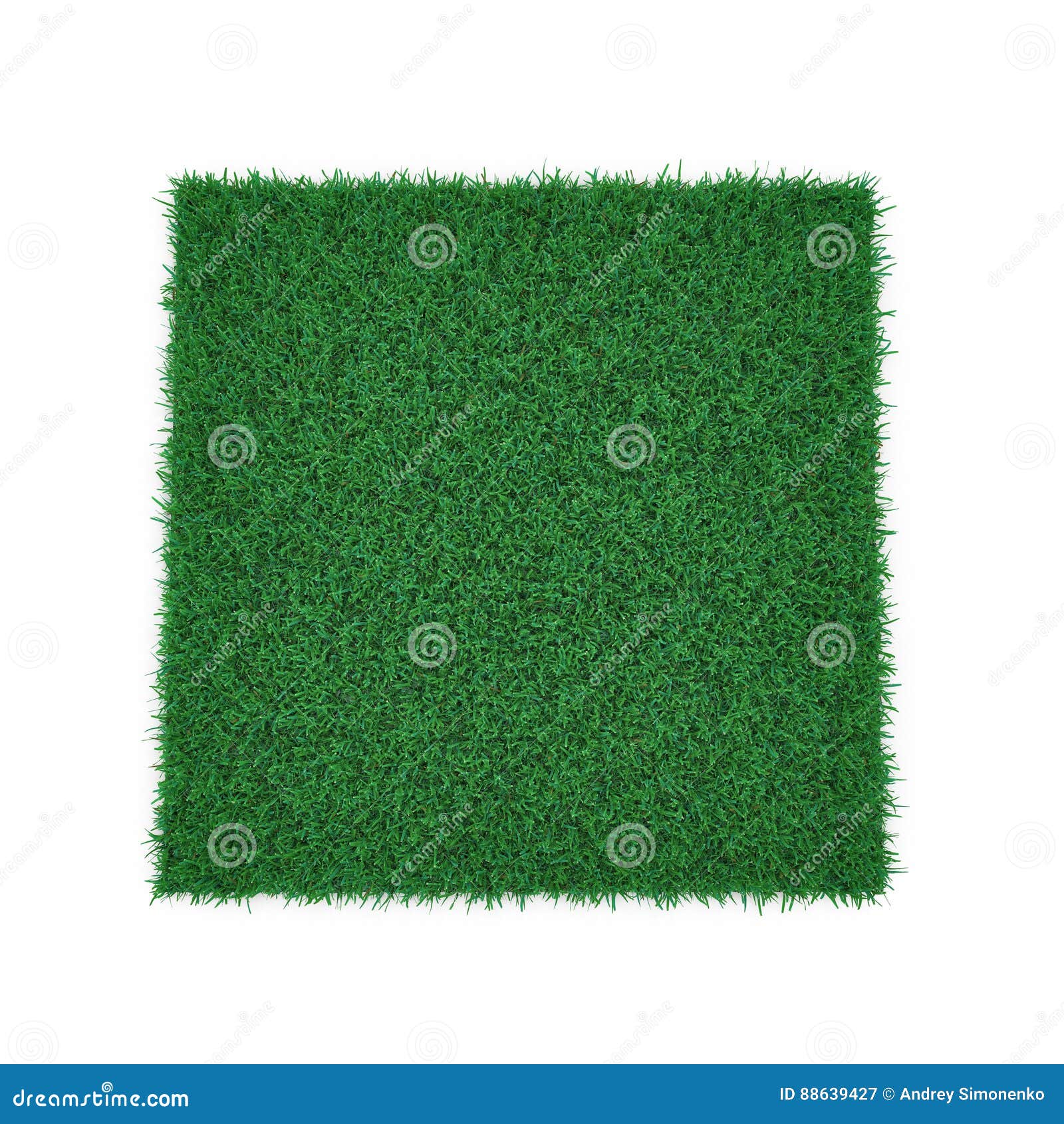 kentucky bluegrass grass on white. 3d 