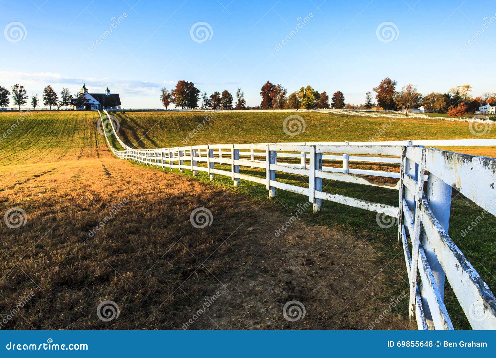 kentucky thoroughbred horse farm