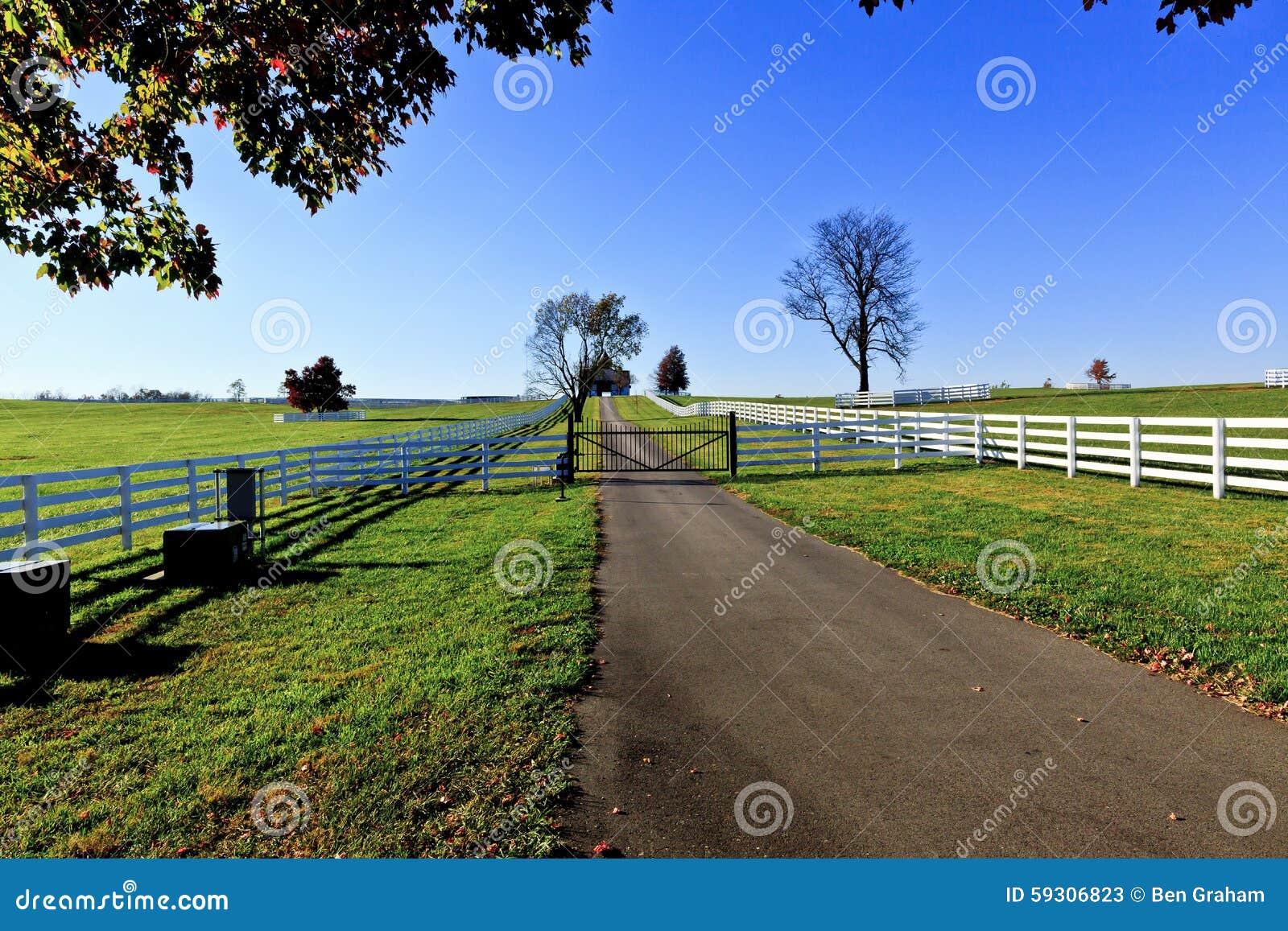 kentucky thoroughbred horse farm