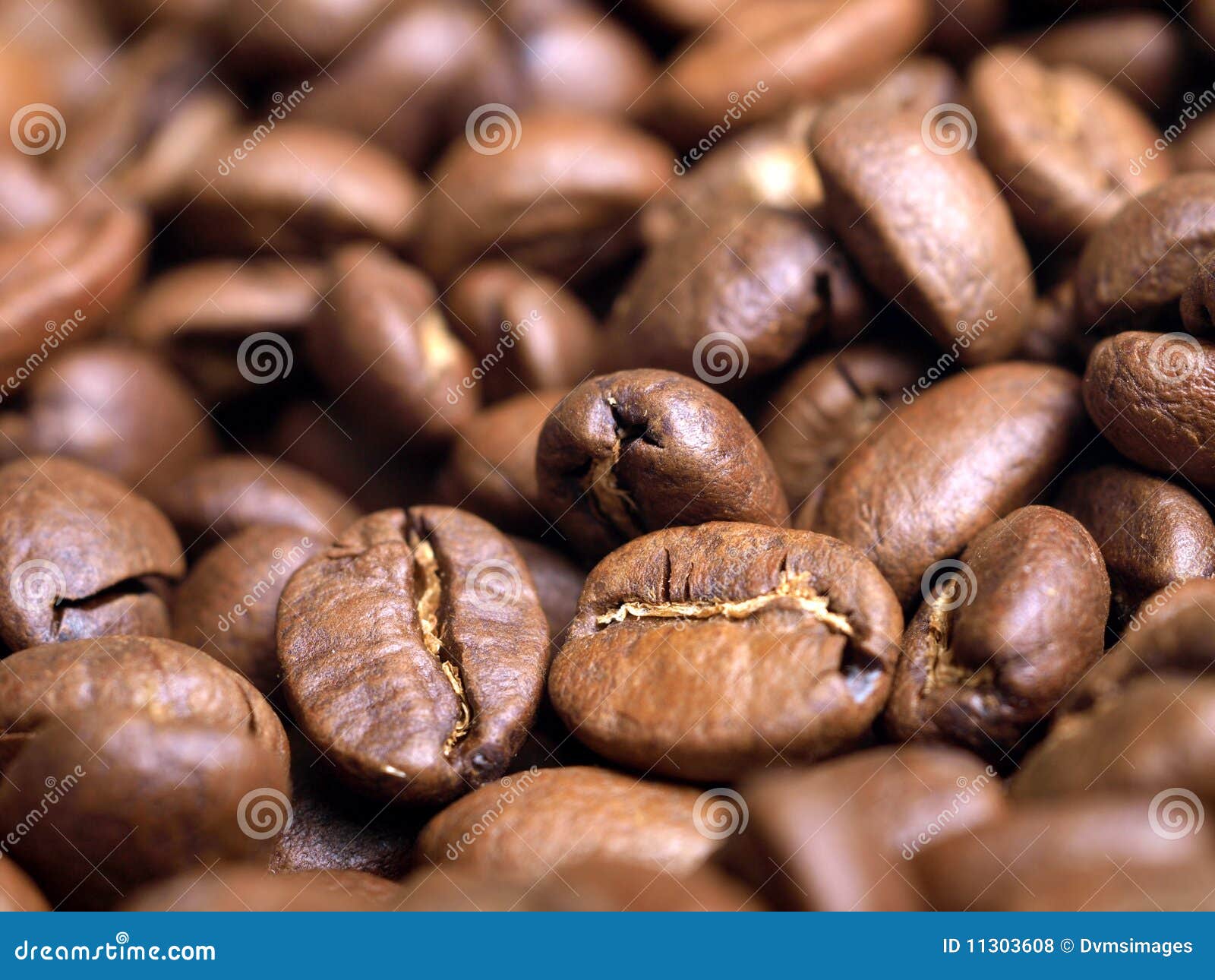 Kenyan Coffee beans stock photo. Image of caffeine, roasted 11303608