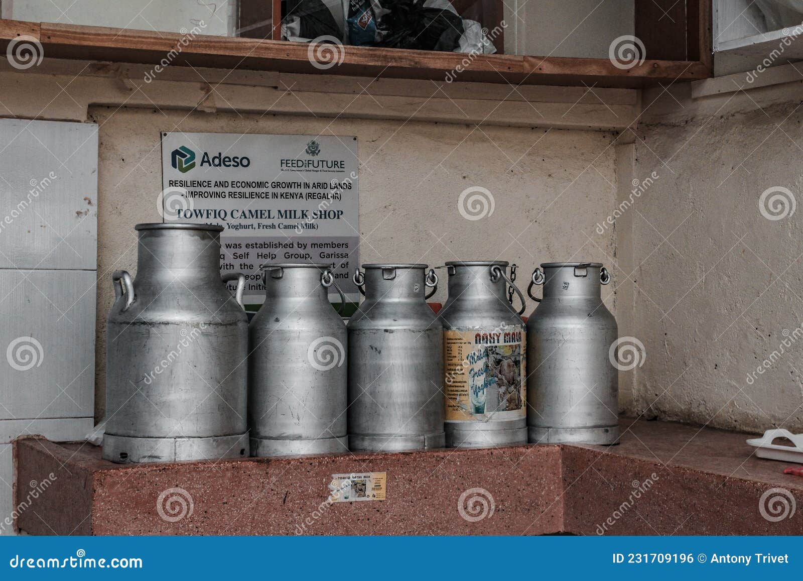 camel milk packed in a silver jerry can ready for sales