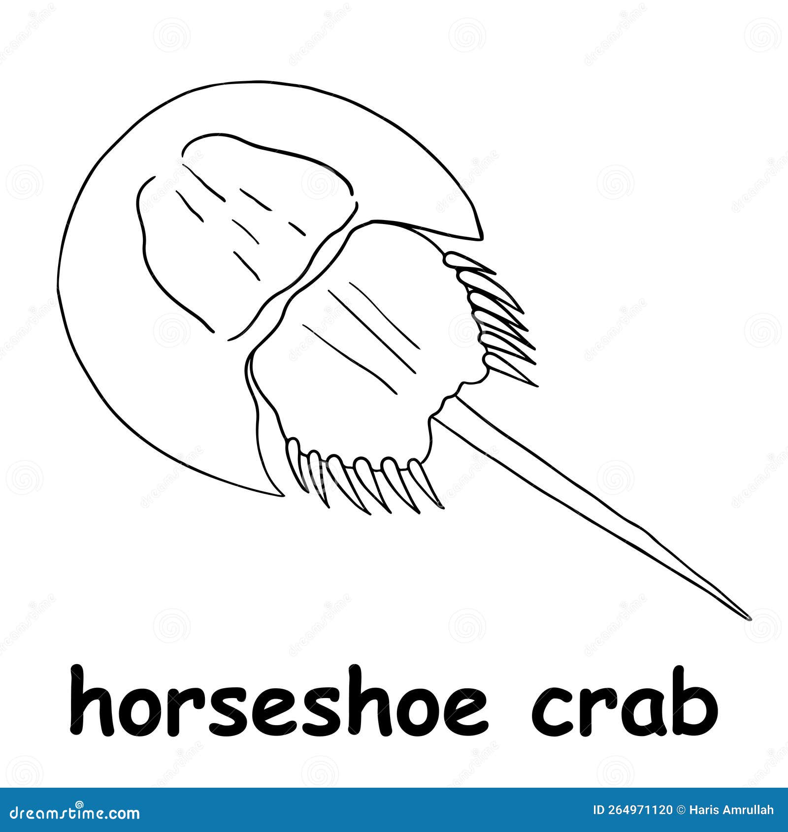 Kids Line Illustration Coloring Horseshoe Crab. Outline Vector for Children Stock Vector