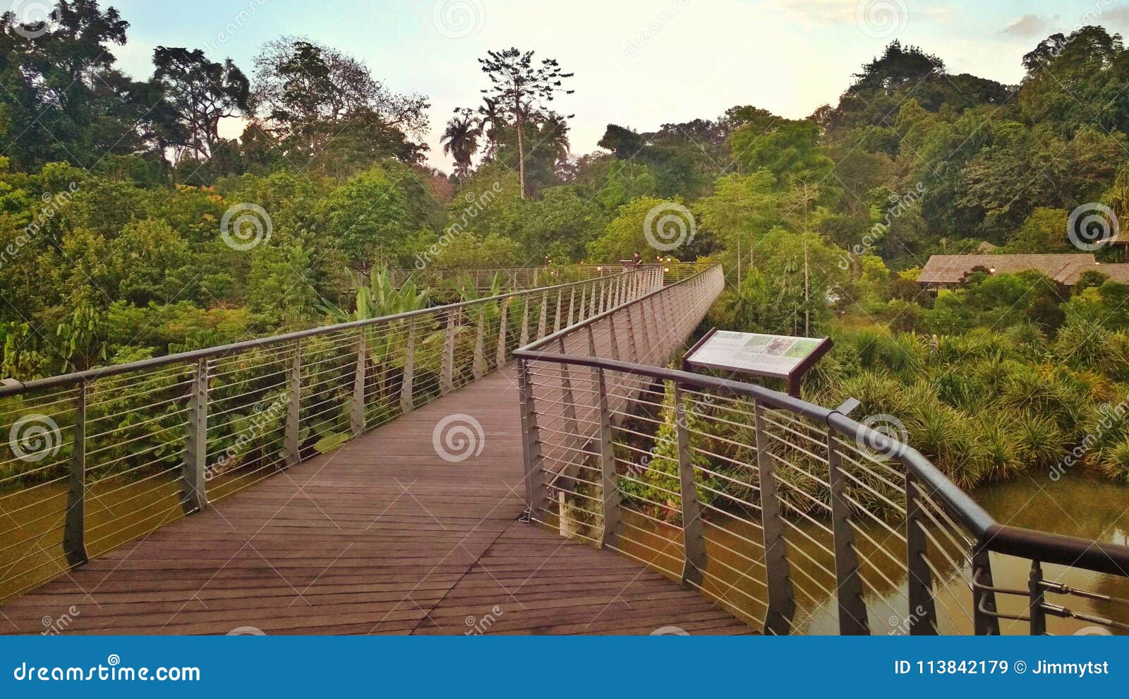Keppel discovery wetlands stock image. Image of ekevated 113842179