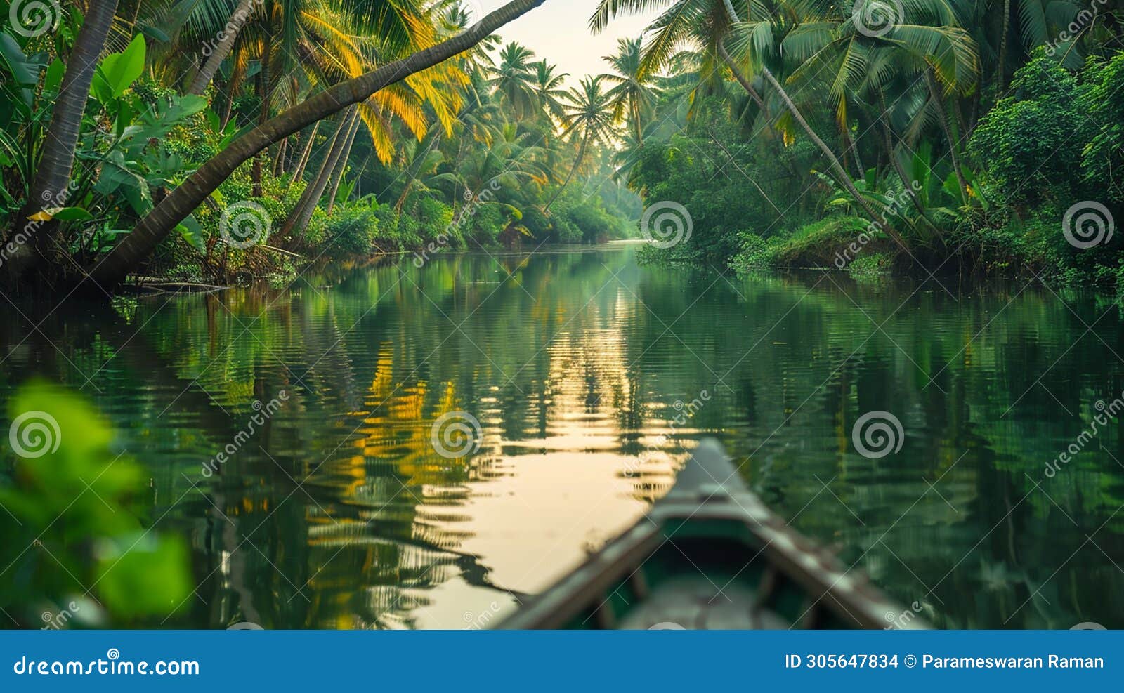 Kerala Backwaters stock illustration. Illustration of fischerman ...