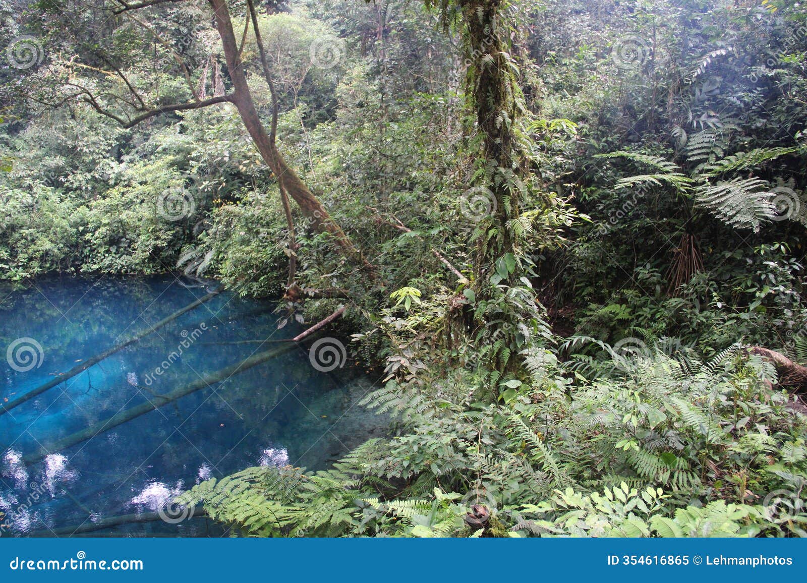 kerinci seblat national park and danau kaco