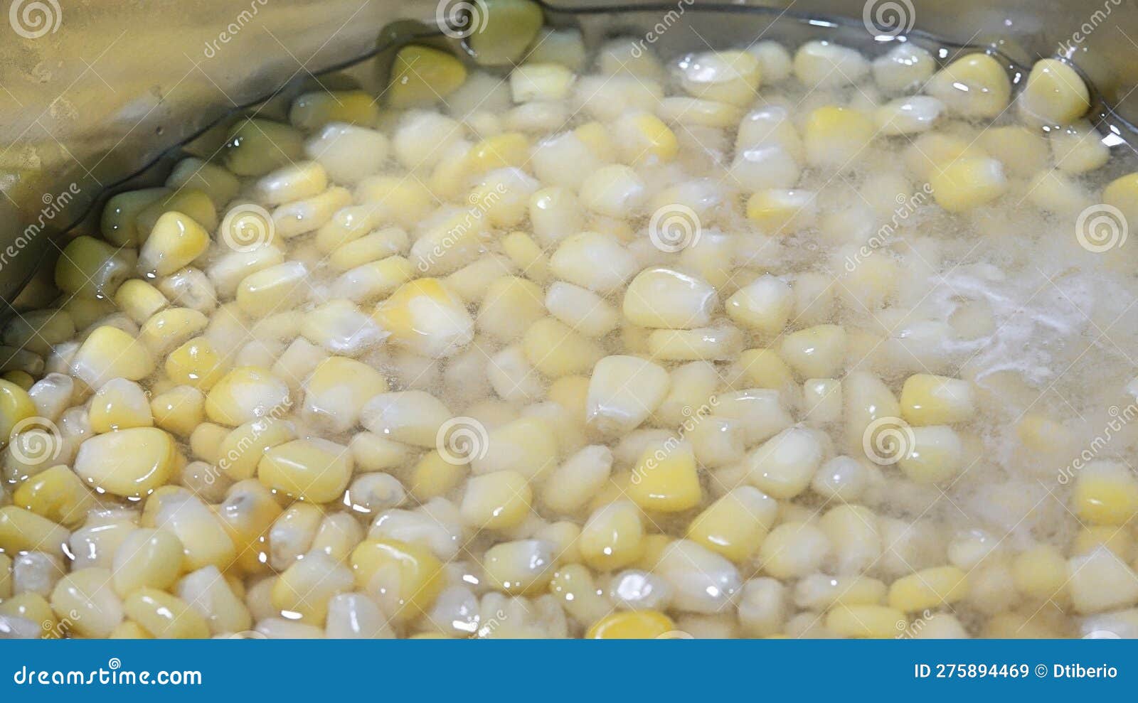 A Kernel Corn in Boiling Water Stock Image Image of boiling, corn