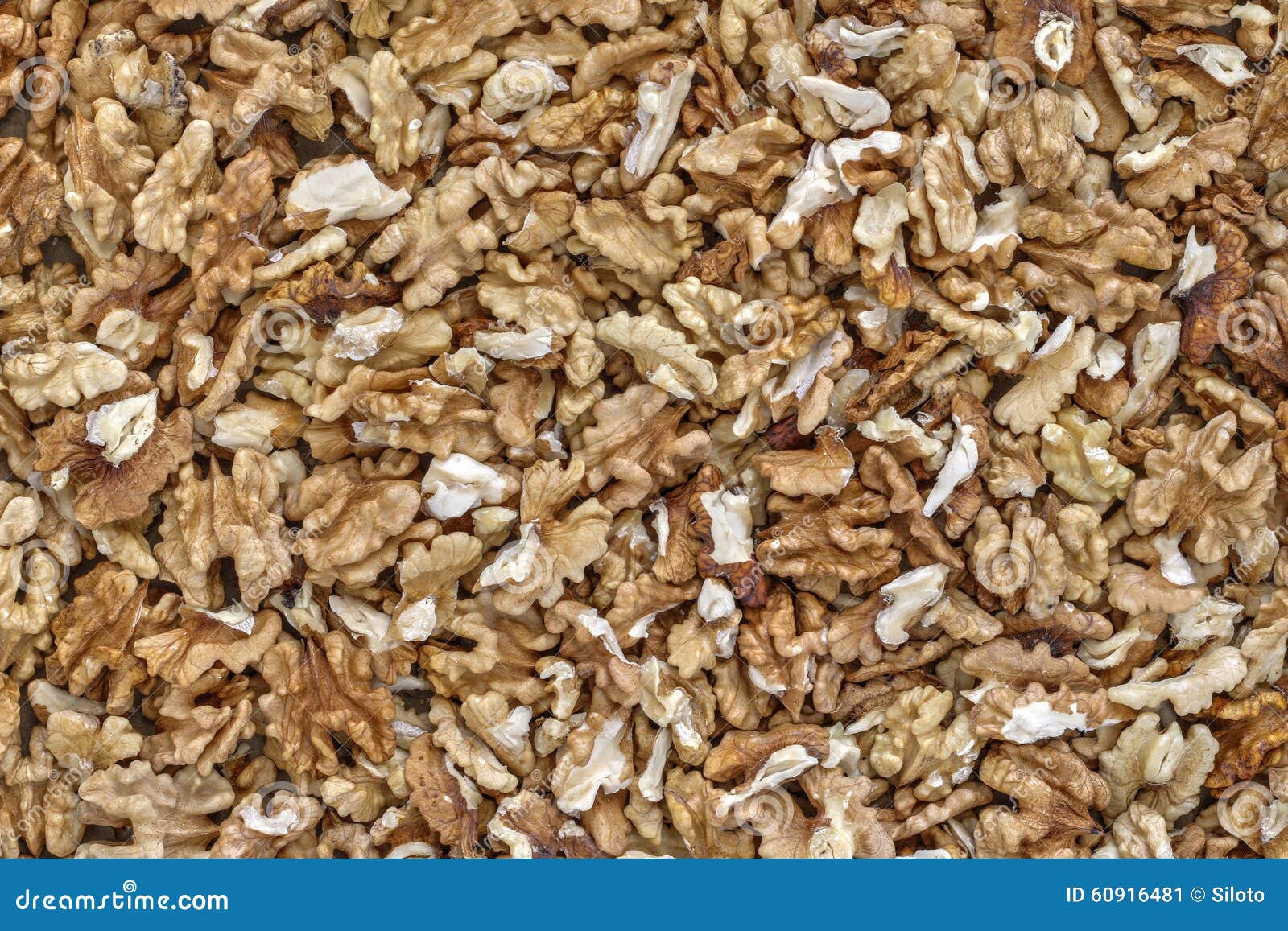 Kernels of Walnut the Source of Vitamins and Minerals Stock Image