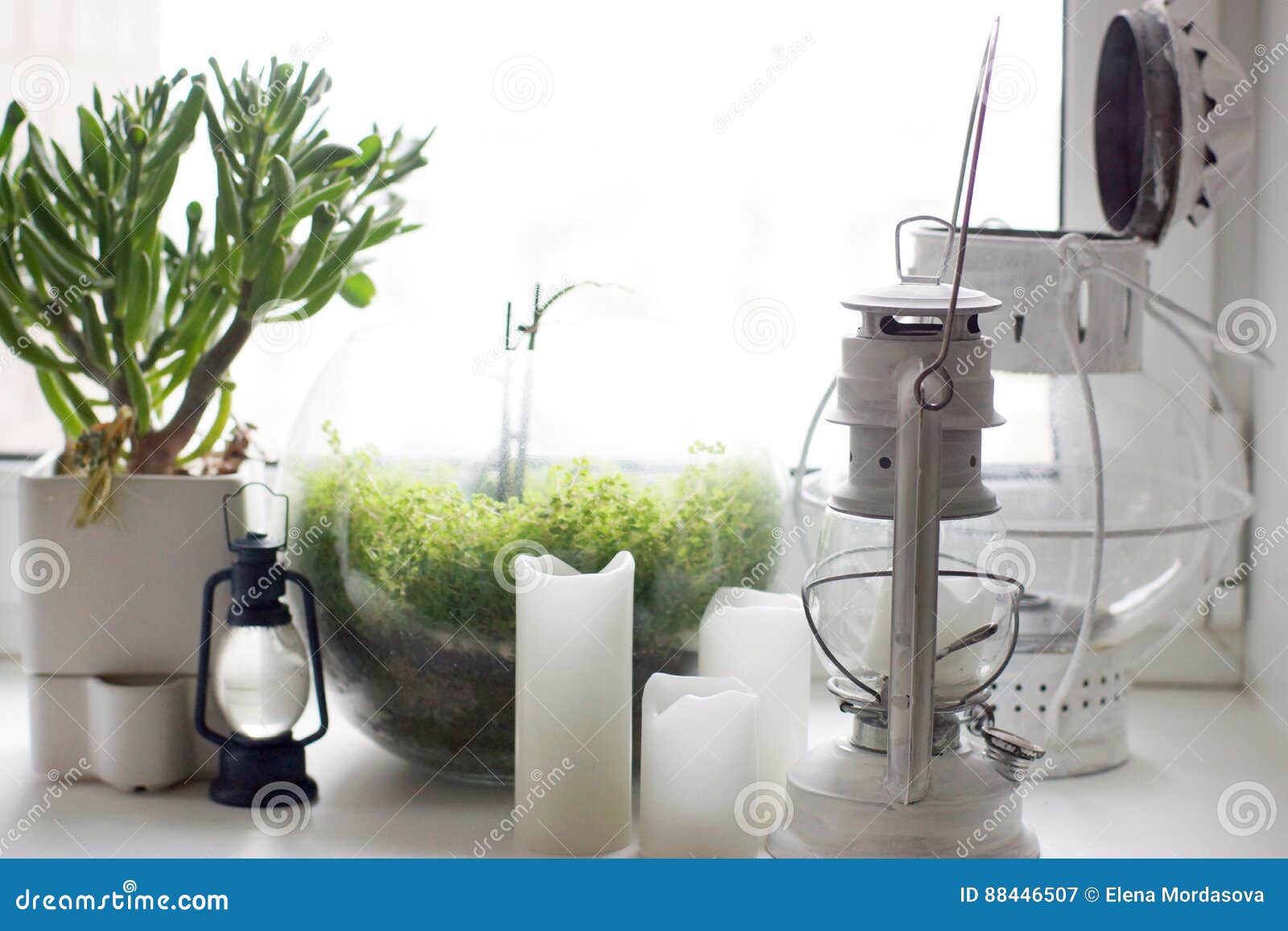 Kerosene Lights, Candles and Houseplants on the Windowsill Stock Image Image of lamp