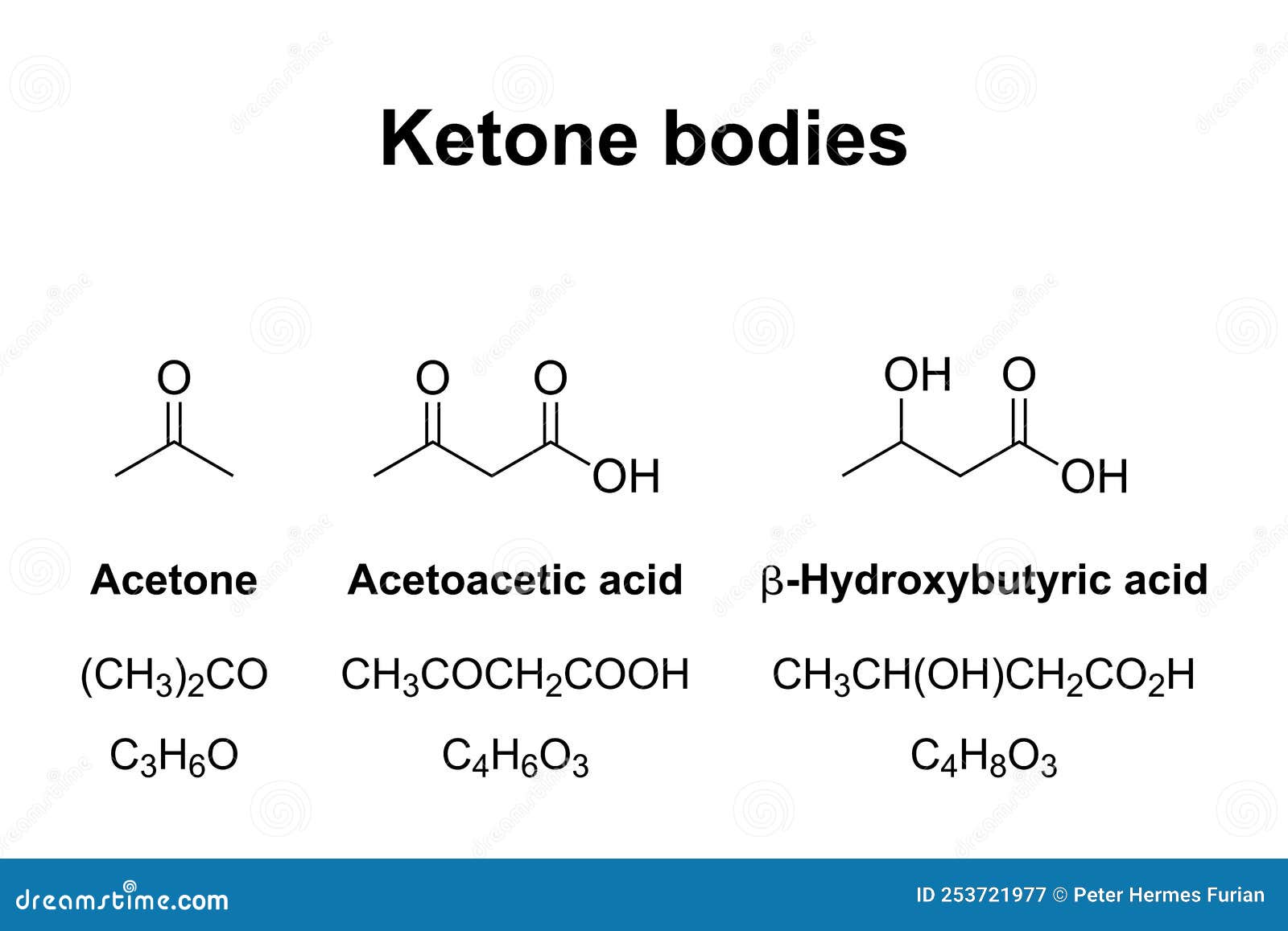 ketone bodies, produced by ketogenesis, chemical formulas