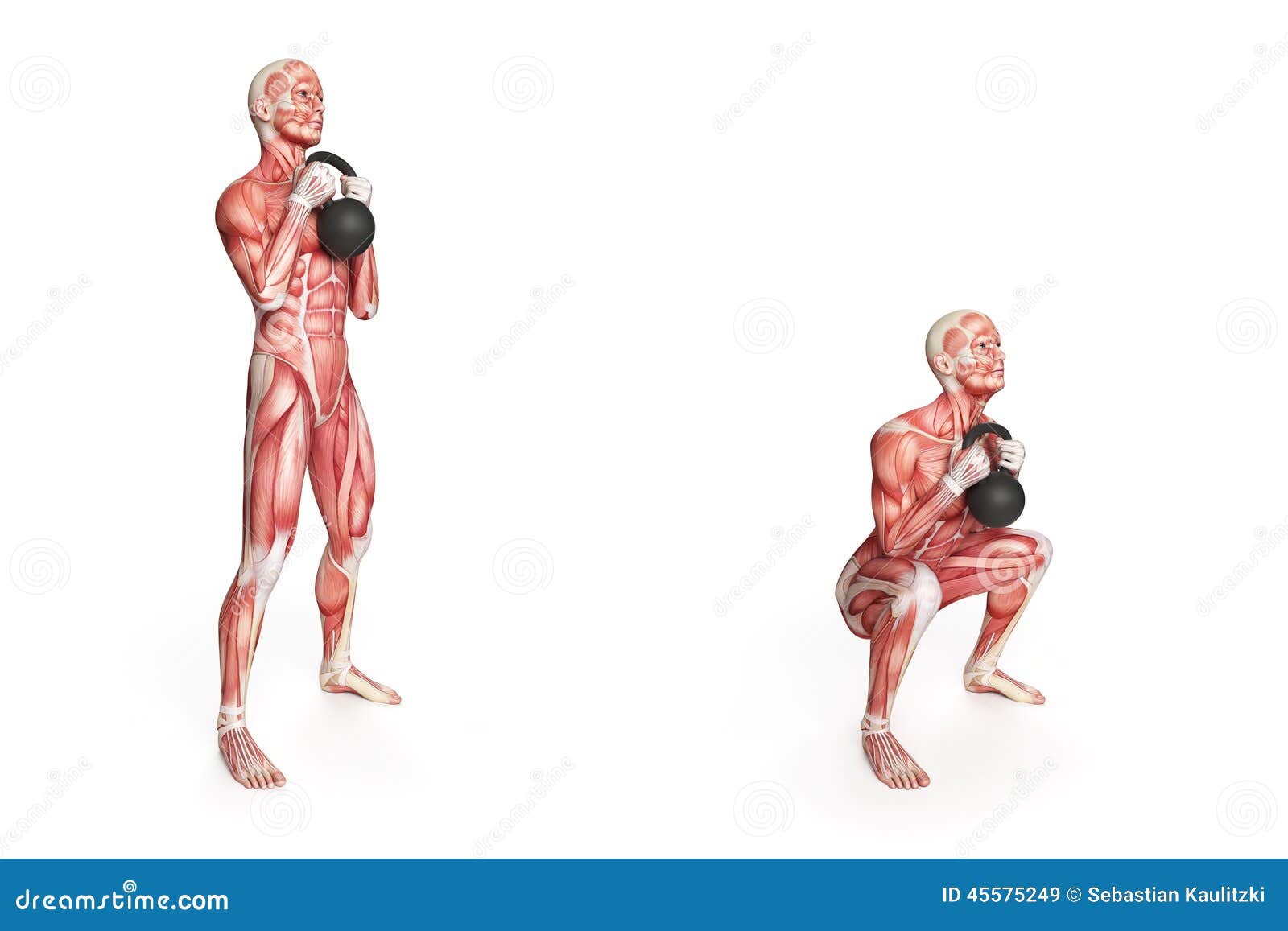 Kettlebell exercise stock illustration. Illustration of squat - 45575249