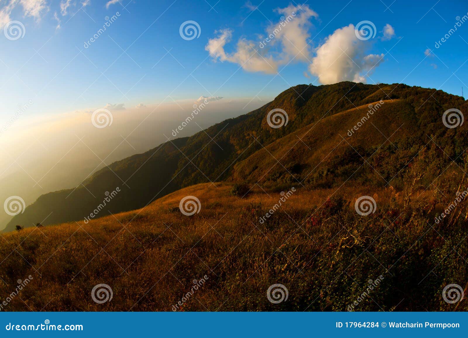 kew mae pan doi inthanon tropics cloud