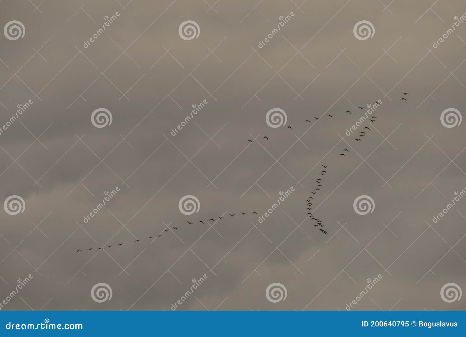 a key of departing wild geese.