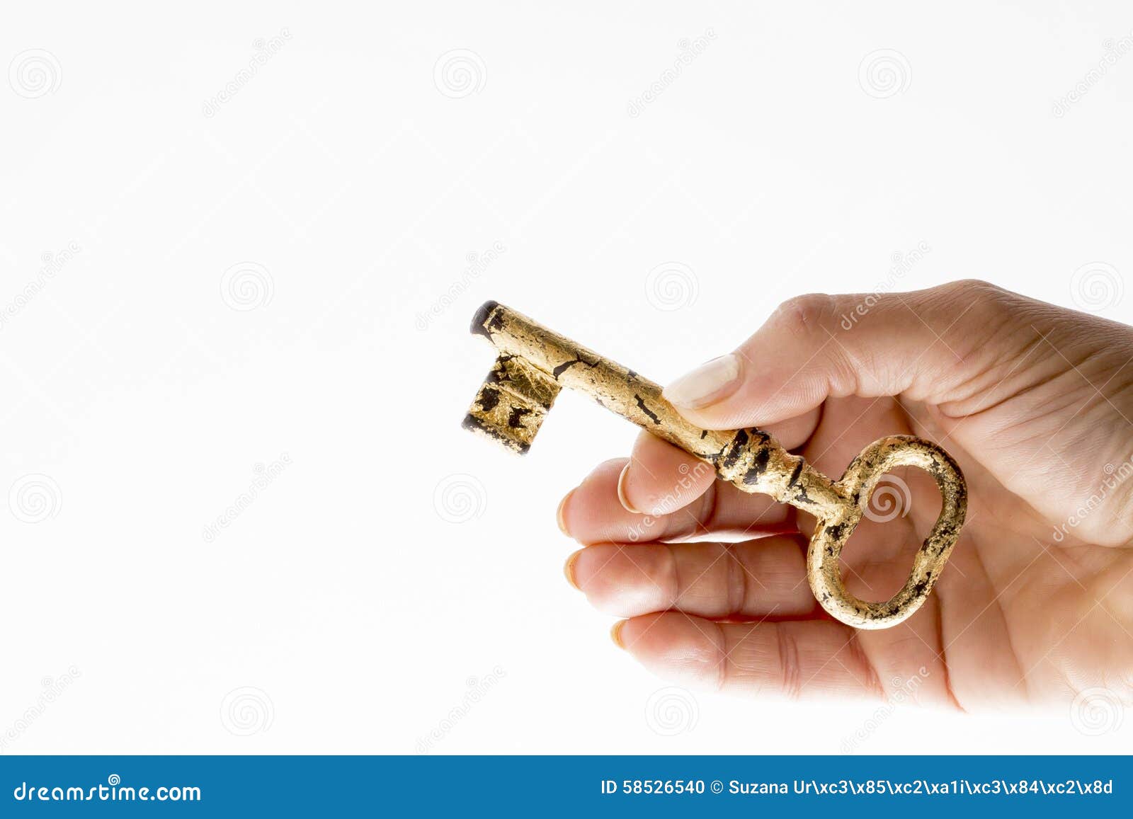 fspassengers unlock key