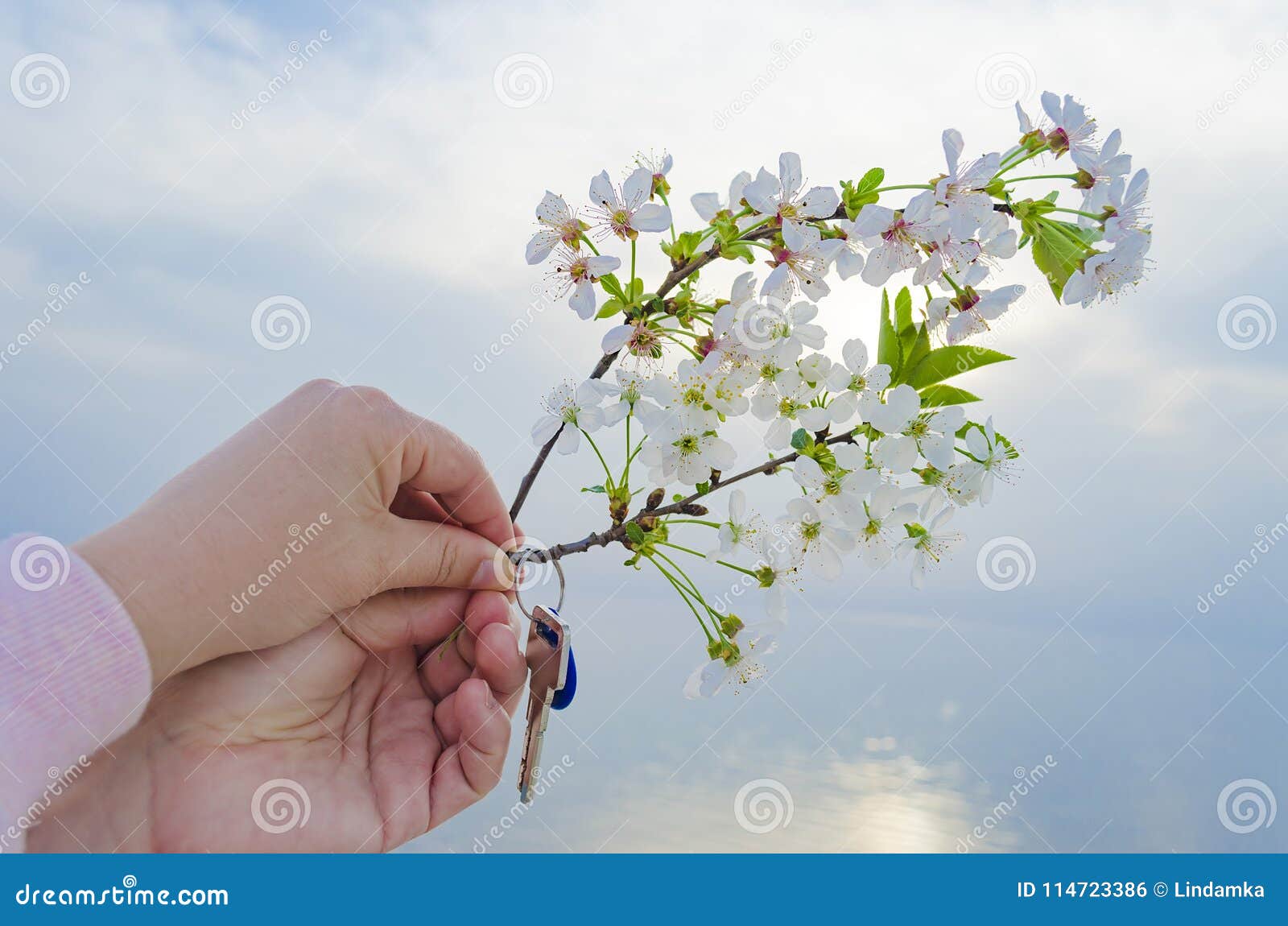 The Key To the New House and the Branch of Cherry Blossoms in Hand. Stock  Photo - Image of branch, ocean: 114723386