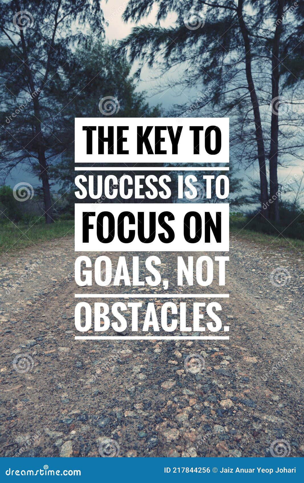 The Key To Success is To Focus on Goals, Not Obstacles ...