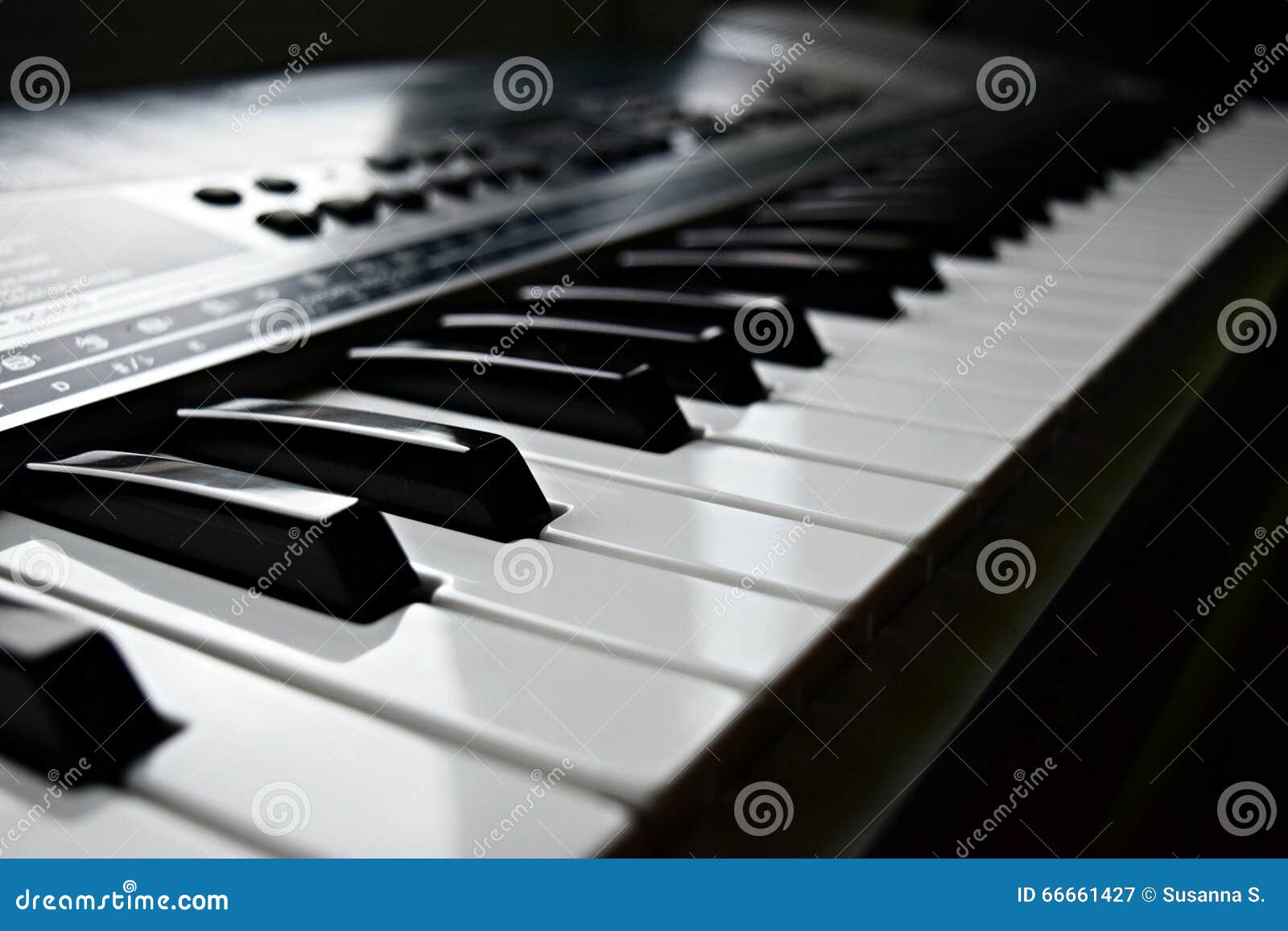 Keyboard stock image. Image of piano, test, keyboard 66661427