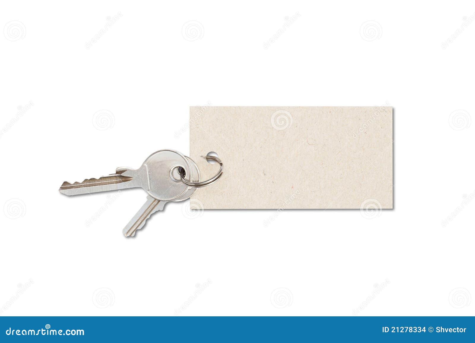 Keys with tag stock photo. Image of label, keys, home 21278334