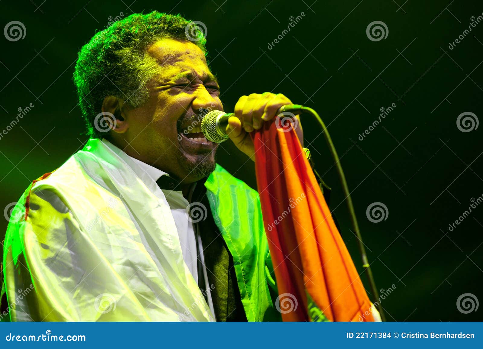 Khaled editorial stock image. Image of entertain, songwriter - 22171384
