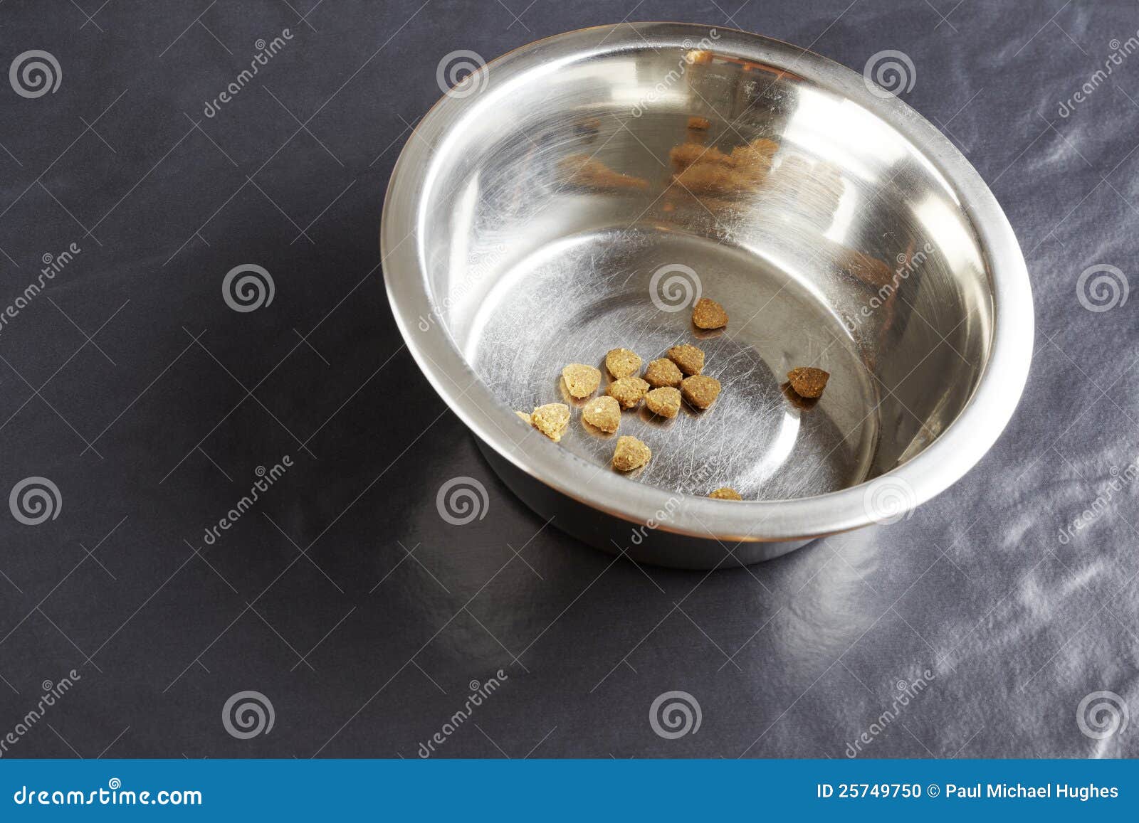 Kibble Dog or Cat Food in Bowl Stock Photo Image of floor, close